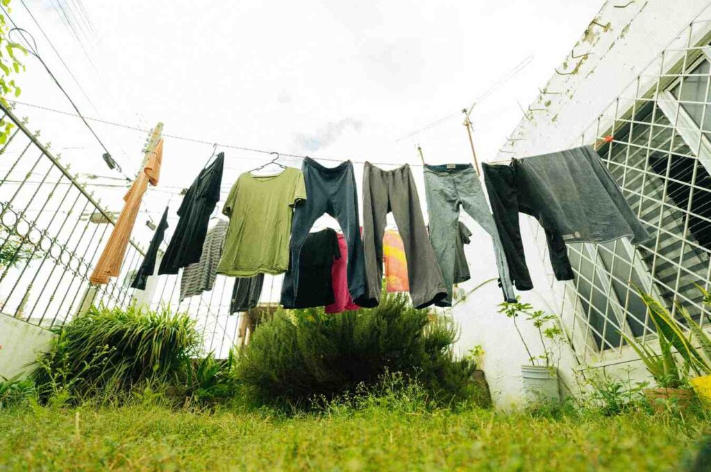 Freshly steamed clothes hanging to air dry in bright room