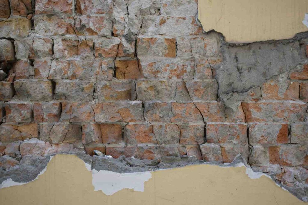 marija-zaric-HJ_GmXkYnc4-unsplash